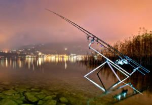 Best Carp Rod Guide