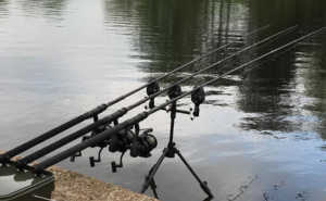 Nash dwarf rods in action