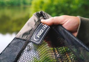 Best Landing Nets For Carp