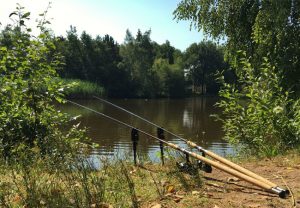 10ft Carp Rods A Buyers Guide