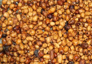 Best bait for carp fishing